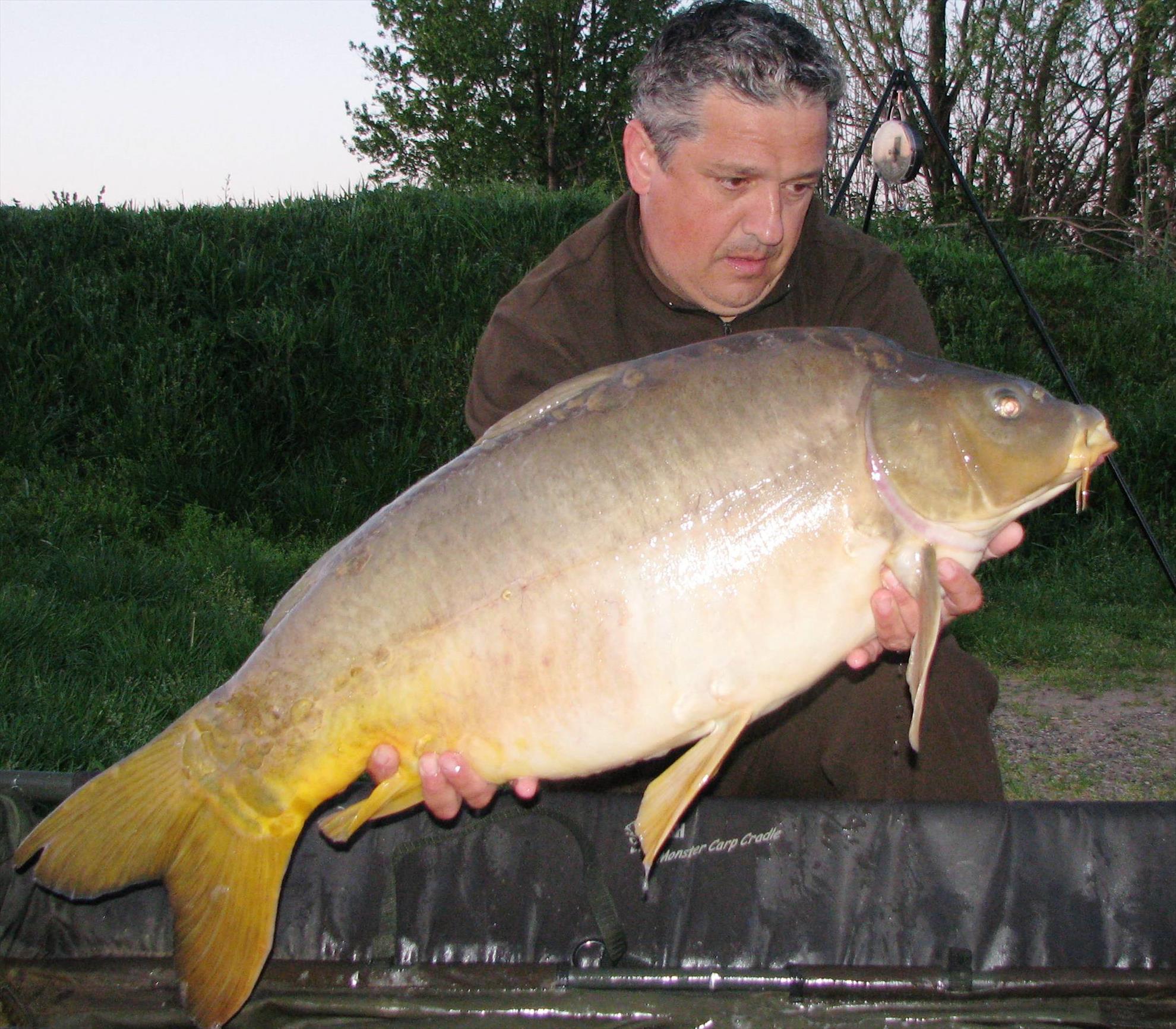 Pelagicevo Jezero  aprilie 2015 - img2082.JPG